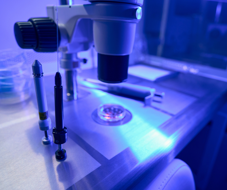 Wykorzystanie technologii in vitro w hodowli cieląt.